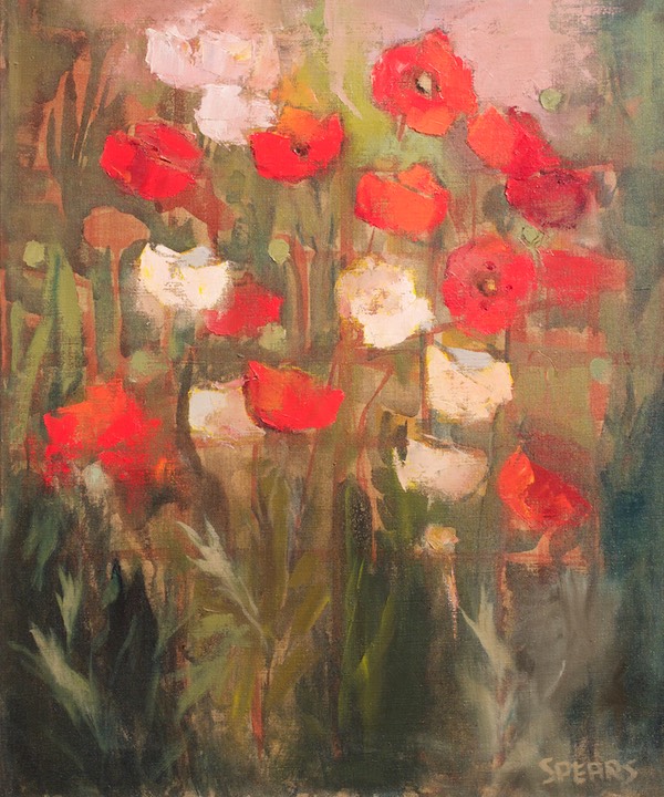 282 Red and white poppies    Deacon SA BCY0205